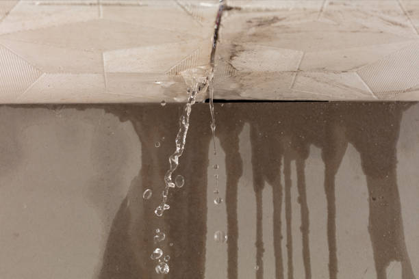 Professional Burst Pipe Cleanup technician working in Ogdensburg, NY